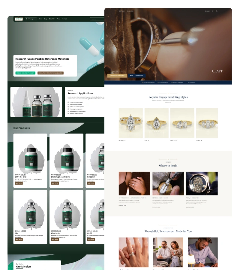 Ecommerce website portfolio showcase